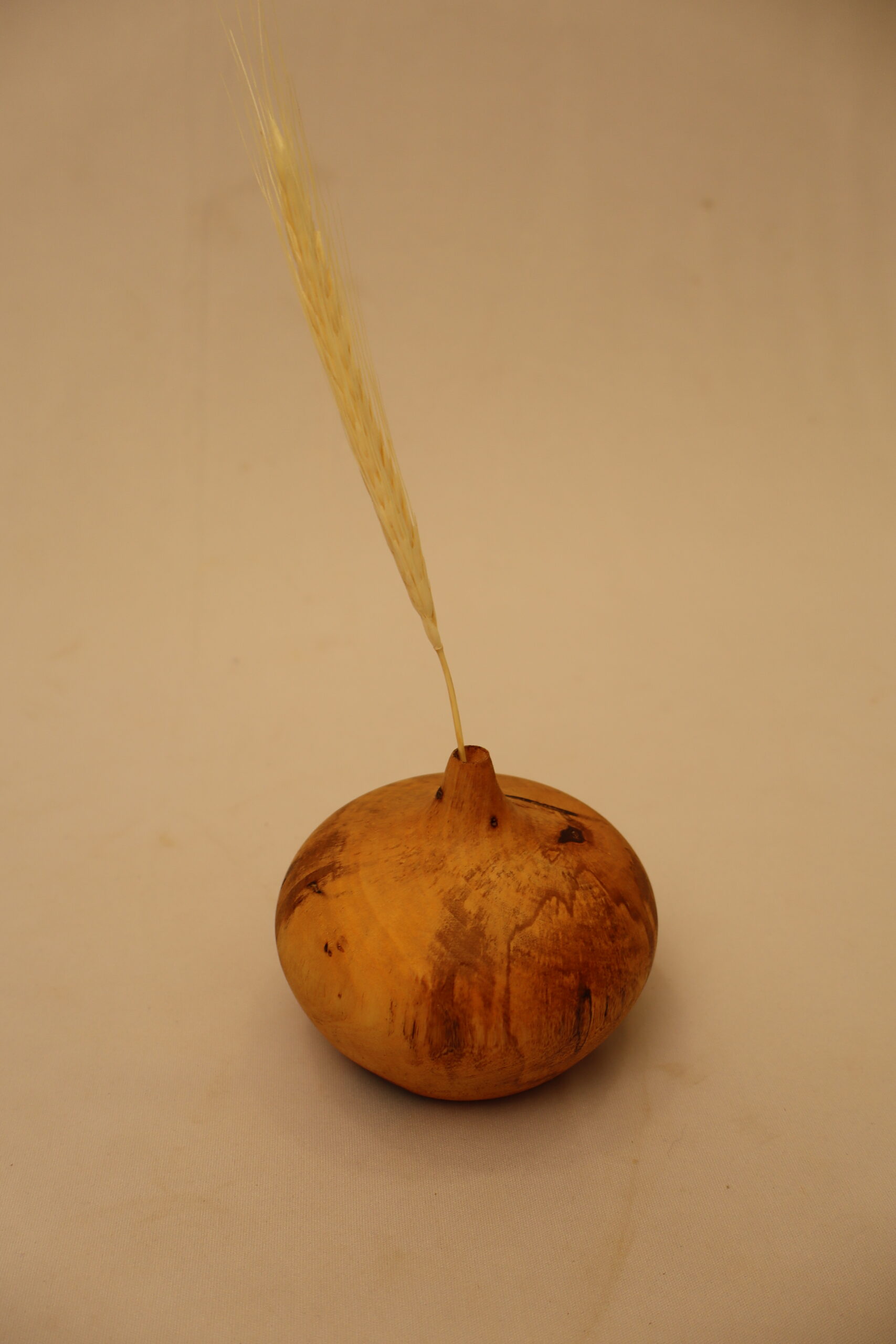 vaso_de_madeira_torneado_semente_da_mata_pp